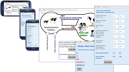 HerdMetrics livestock management application screens.